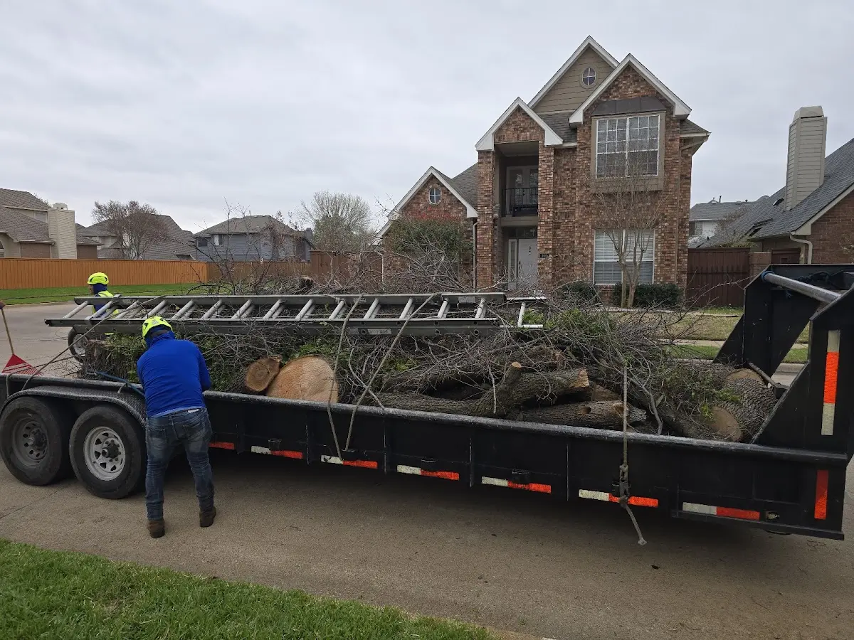 Expert Lot Clearing with proper safety equipment in Orient